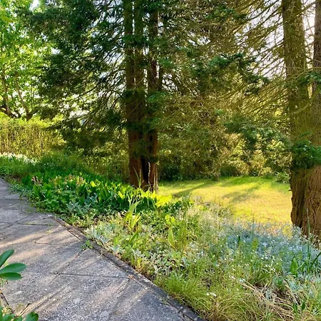 Haus Am Mit Kamin In Mecklenburg *